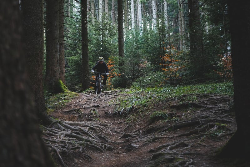 Adventure trails