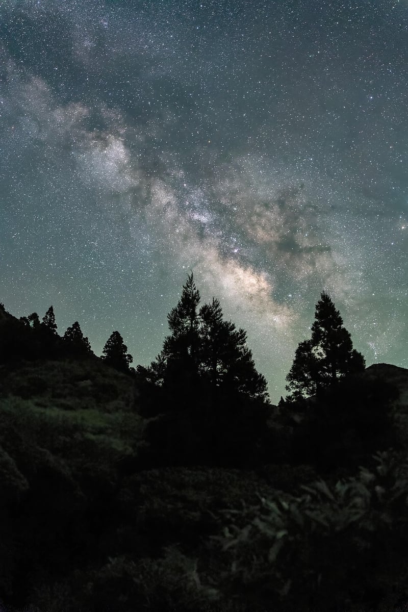 Starry Night Adventure